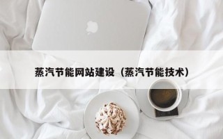 渭南蒸汽节能网站建设（蒸汽节能技术）